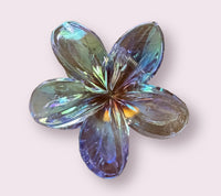 
              AB Flower Hair Clips
            