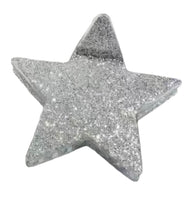 
              Silver Star Hair Clip
            