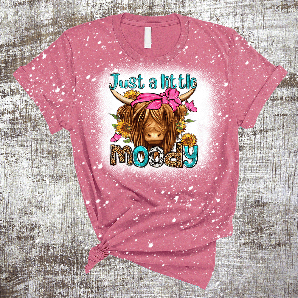 Just a Little Moody Highland Cow Country Sub Bleached Tee