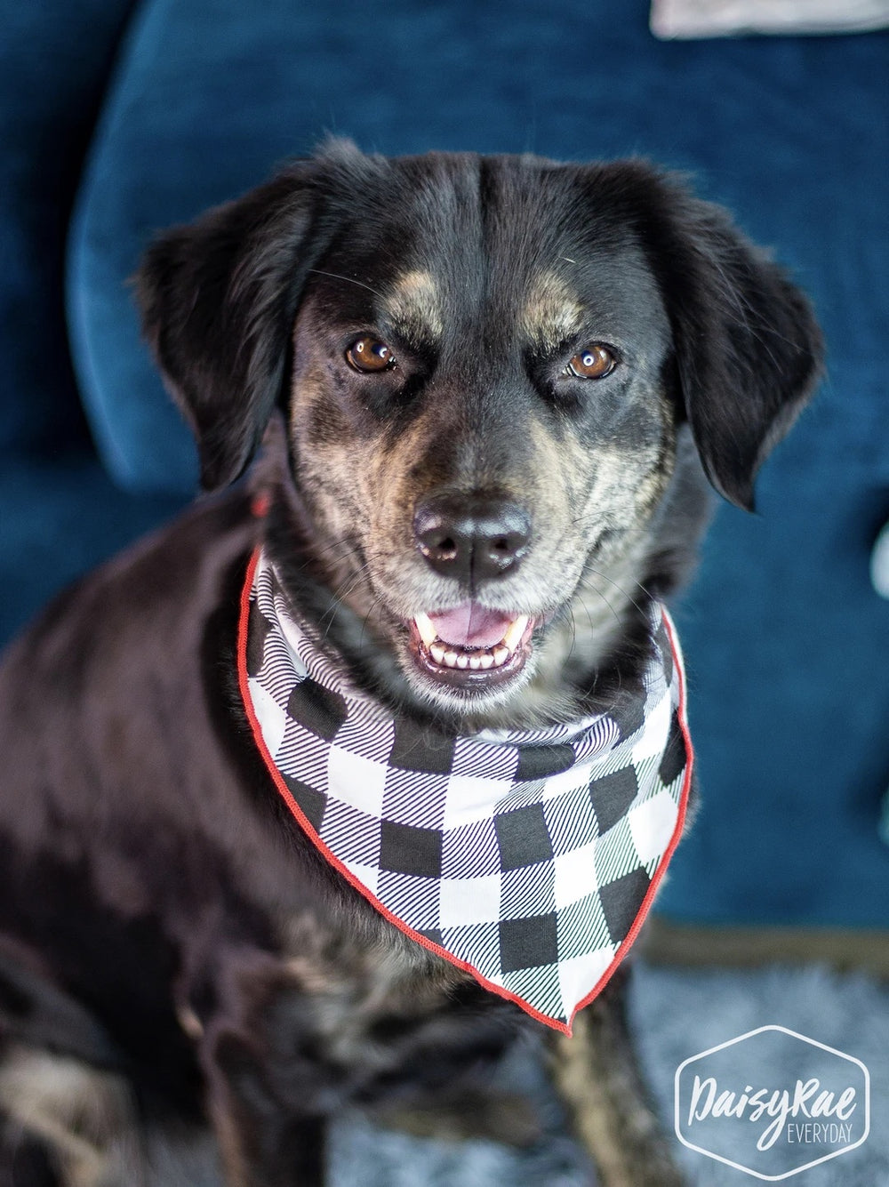 Gingham Me to Sleep Bandana