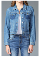
              Cello Jeans Fitted Denim Jacket
            